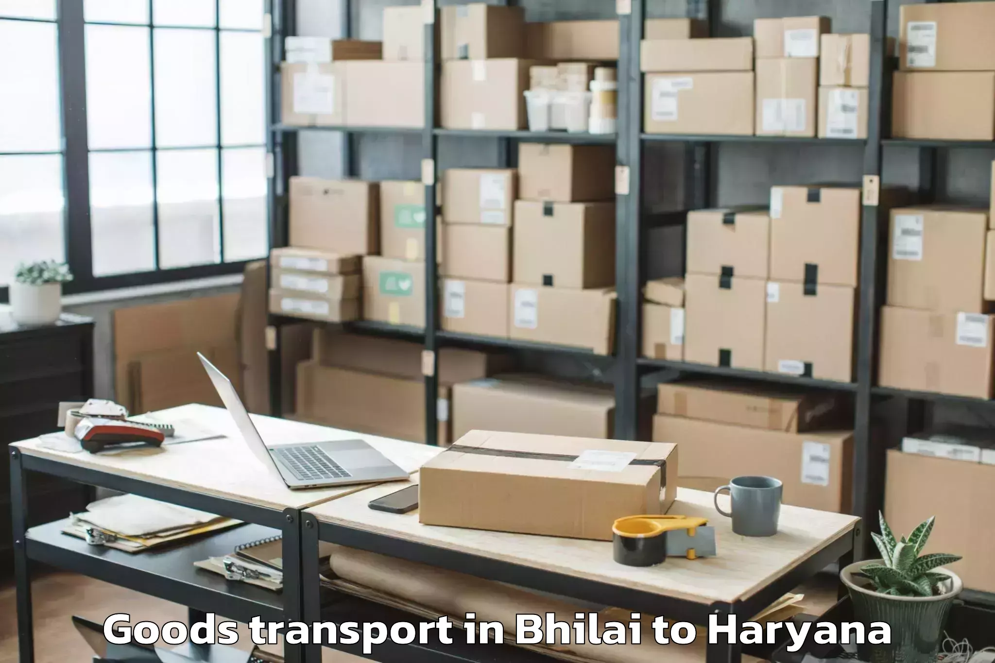 Efficient Bhilai to Kanina Khas Goods Transport